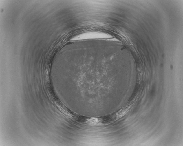 X0000057070269200510071440