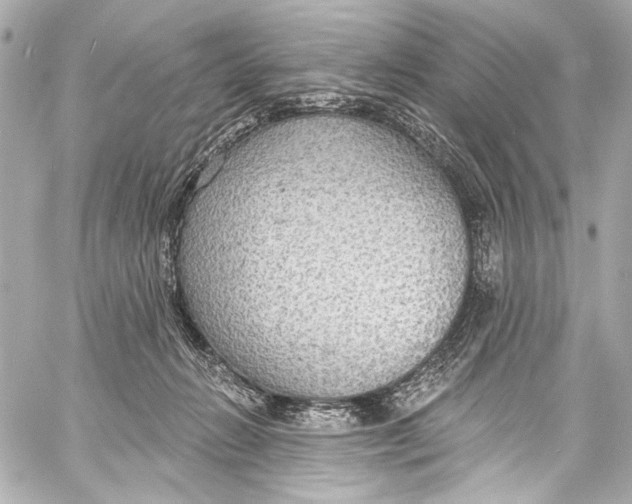 X0000057070270200510071440