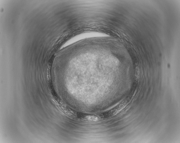 X0000057070272200510071440