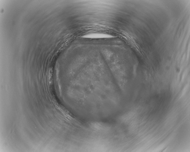 X0000057070273200510071440