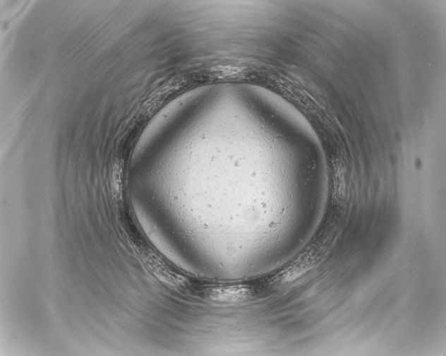 X0000057070274200510071440