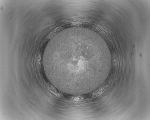 X0000057070275200510071440