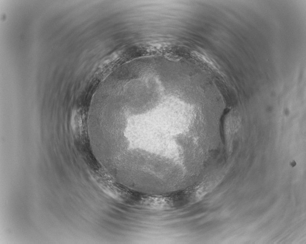 X0000057070276200510071440