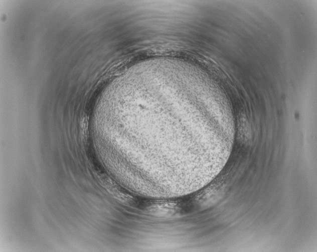 X0000057070278200510071440