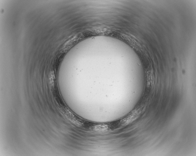 X0000057070279200510071440