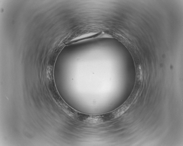 X0000057070280200510071440