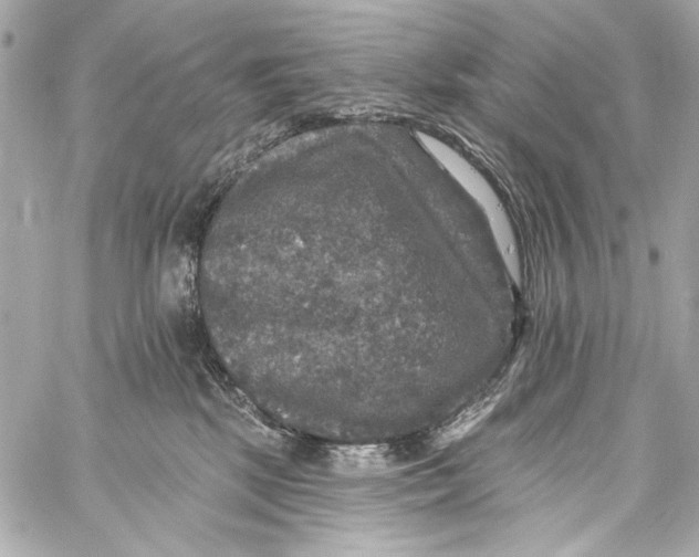 X0000057070281200510071440