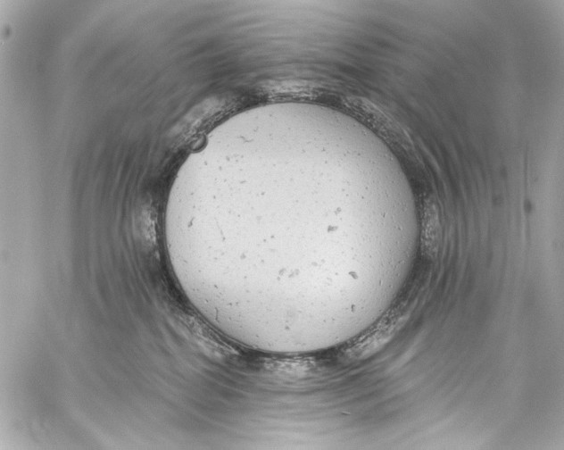 X0000057070282200510071440