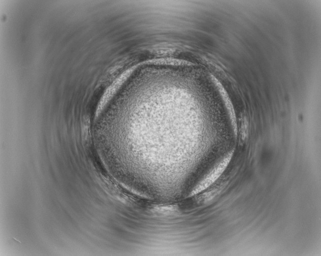 X0000057070283200510071440