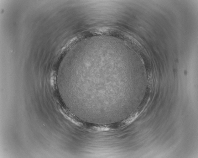 X0000057070284200510071440