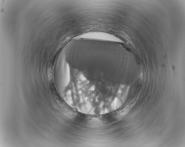 X0000057070285200510071440