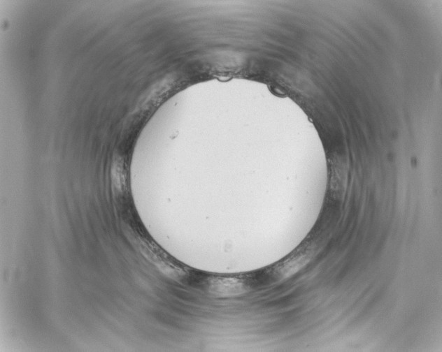 X0000057070287200510071440