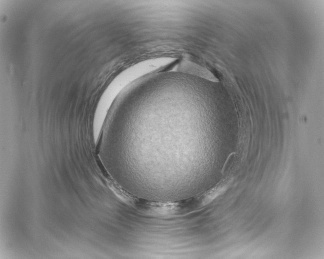 X0000057070288200510071440