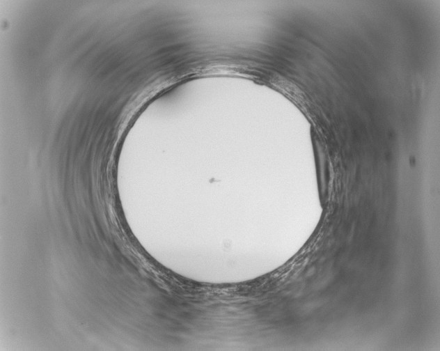 X0000057070289200510071440