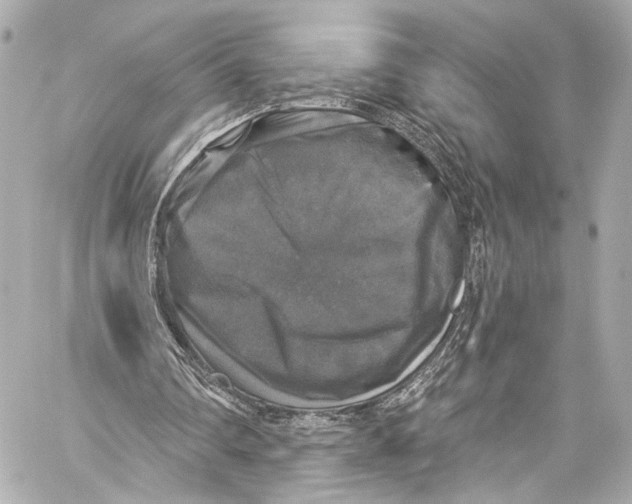 X0000057070290200510071440