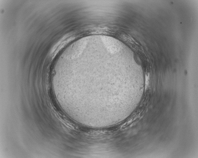 X0000057070291200510071440