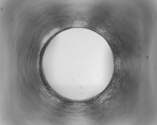 X0000057070292200510071440