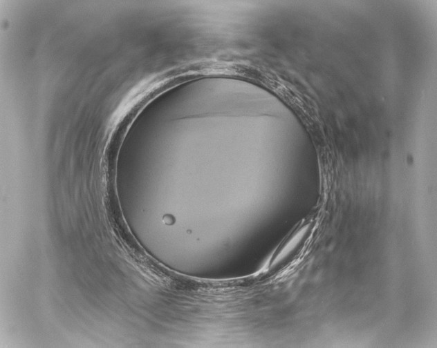 X0000057070295200510071440