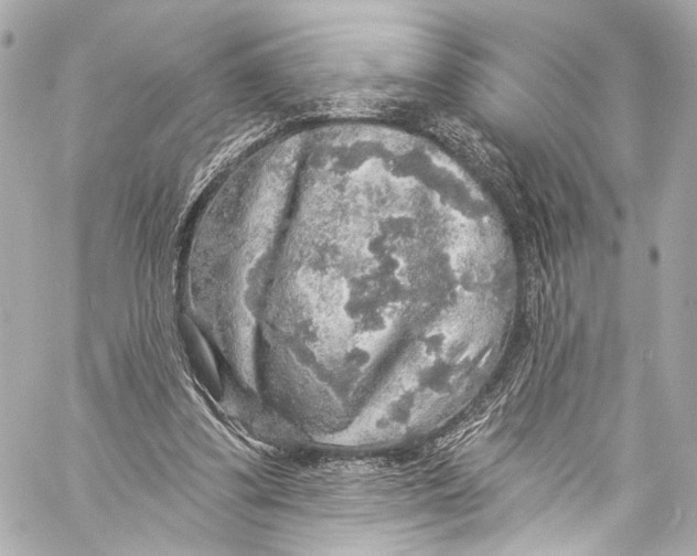 X0000057070299200510071439