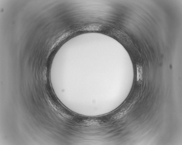 X0000057070300200510071439