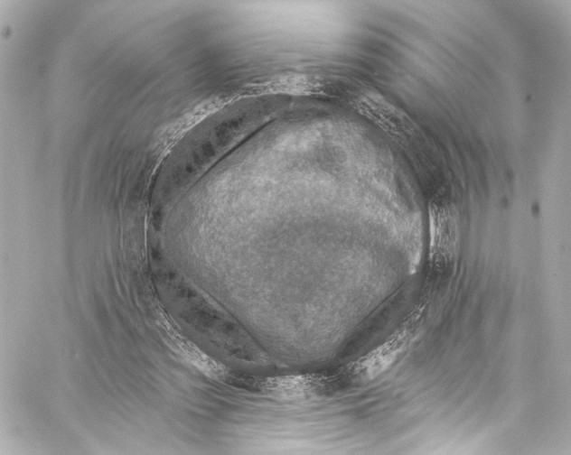 X0000057070301200510071439