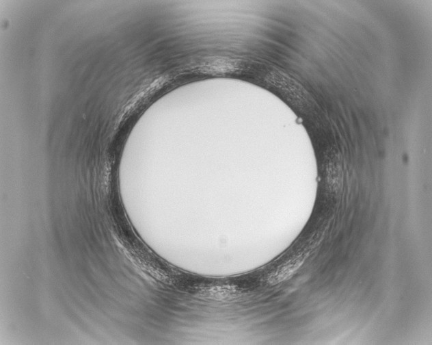 X0000057070304200510071439