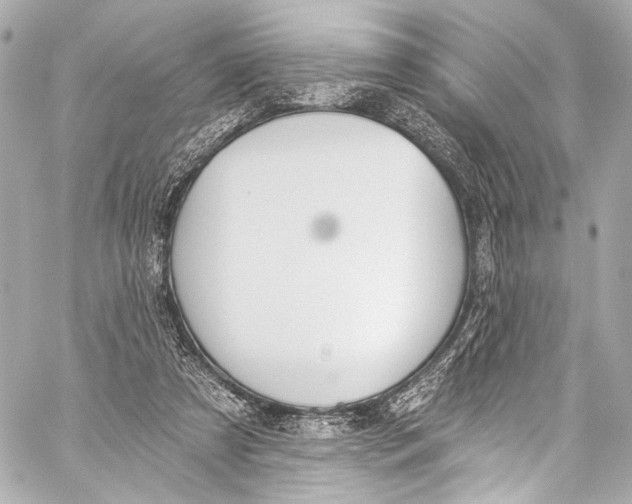 X0000057070305200510071439