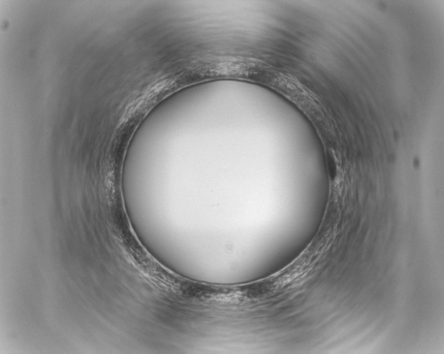 X0000057070306200510071439