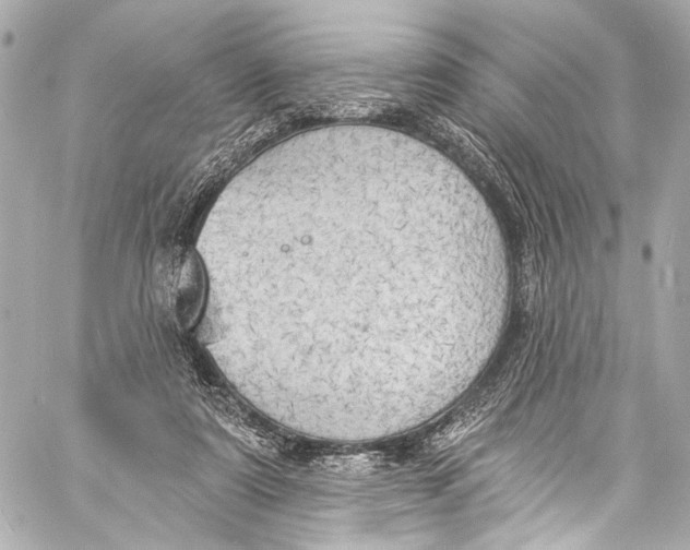 X0000057070307200510071439