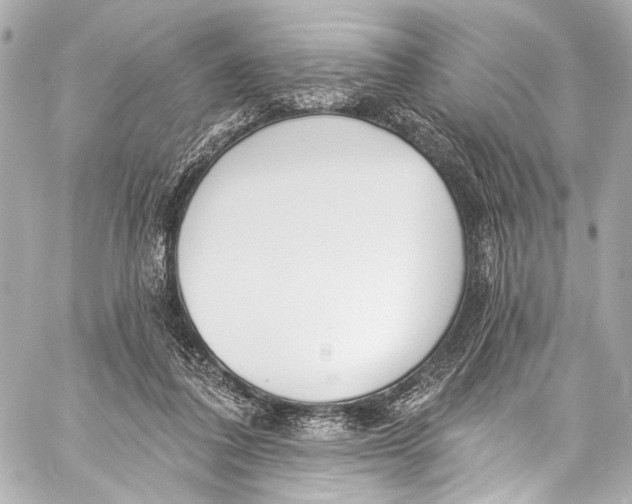 X0000057070308200510071439