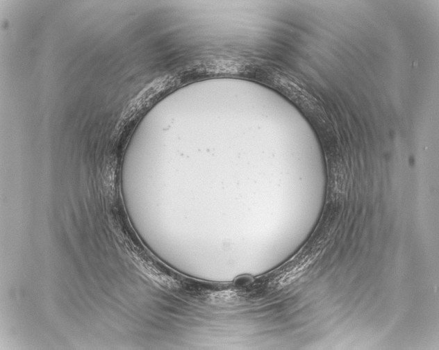 X0000057070309200510071439