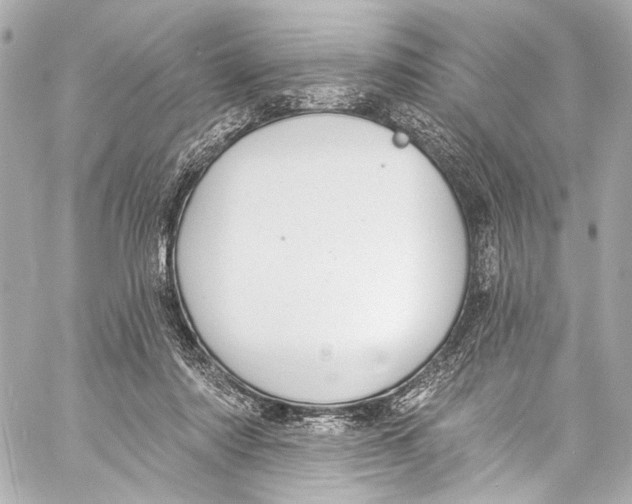 X0000057070310200510071439