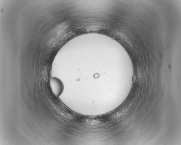 X0000057070311200510071439