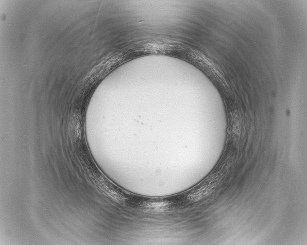 X0000057070313200510071439