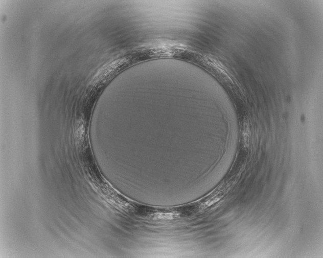 X0000057070314200510071439