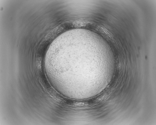 X0000057070315200510071439