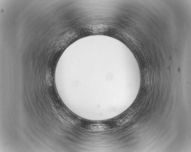 X0000057070316200510071439