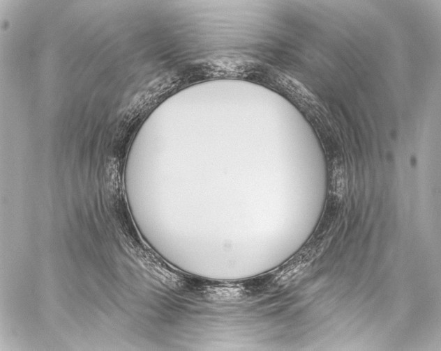 X0000057070318200510071439