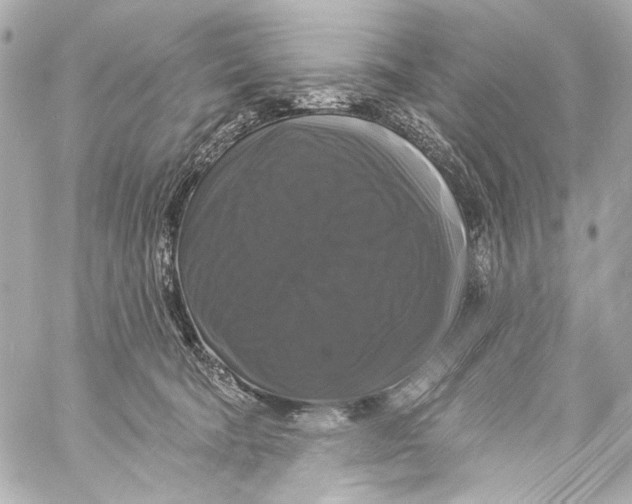 X0000057070322200510071439