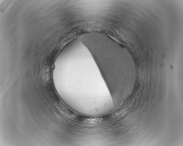 X0000057070323200510071439