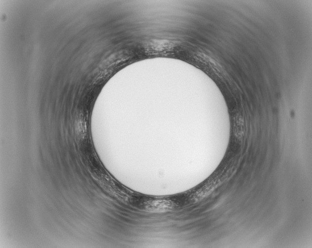 X0000057070324200510071439