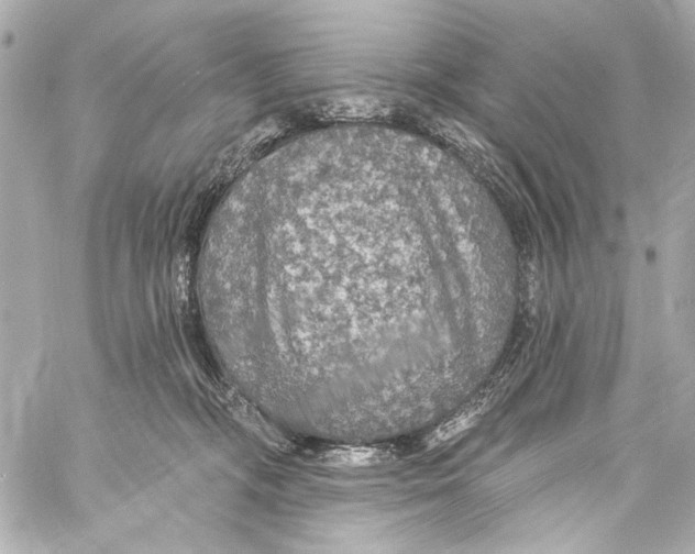 X0000057070326200510071439