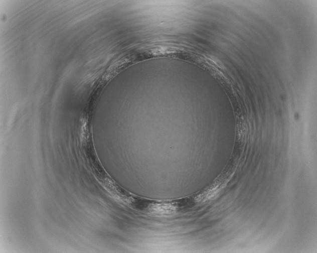 X0000057070327200510071439