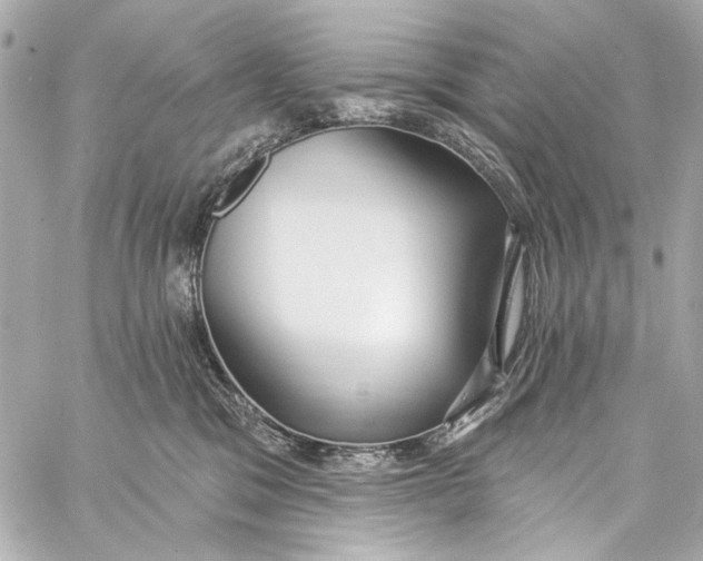 X0000057070329200510071439