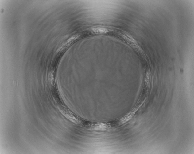 X0000057070330200510071439