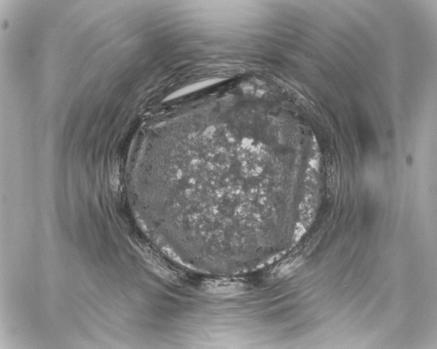 X0000057070331200510071439