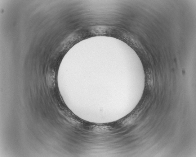 X0000057070332200510071439