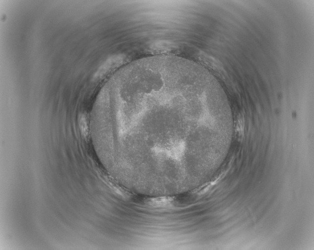 X0000057070335200510071439