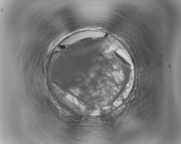 X0000057070337200510071438