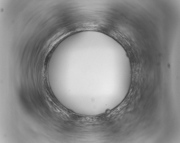 X0000057070338200510071438